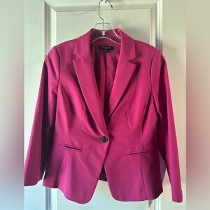 Ann Taylor Fuchsia Blazer, Professional